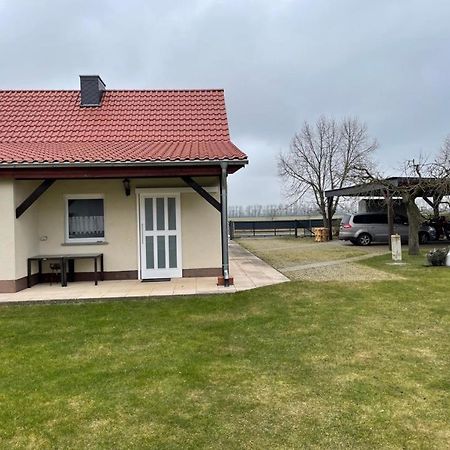 Ferienhaus Altenhof Mueritz Kültér fotó